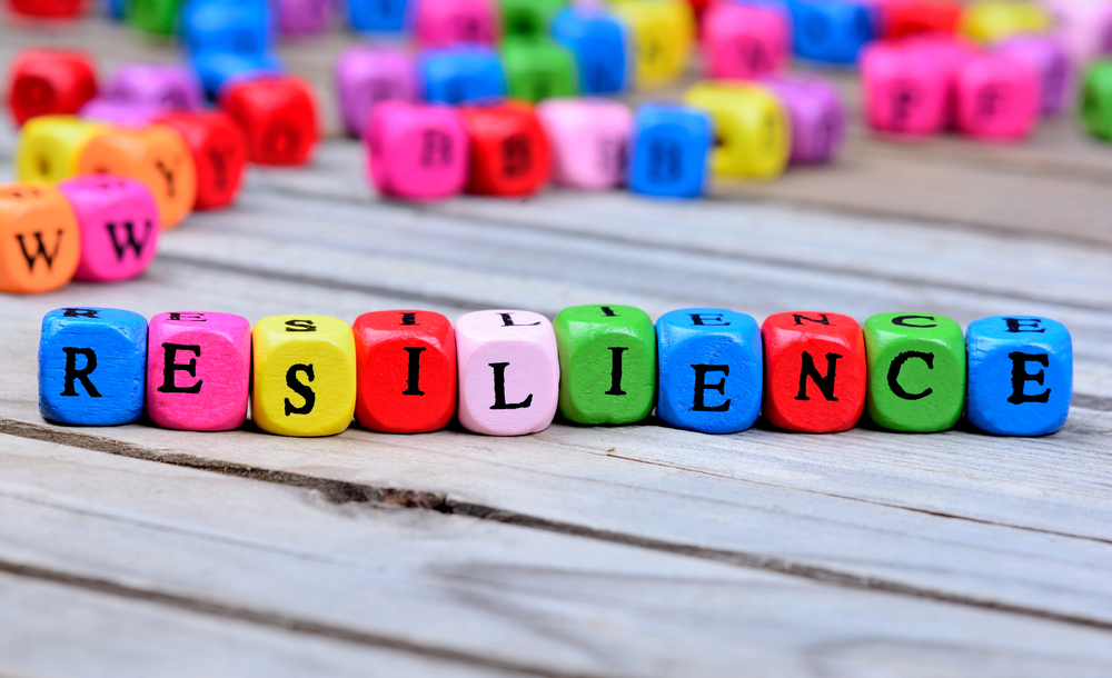 Searching for a new job with resilience
